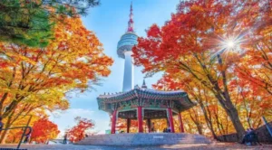 Seoul's Hidden Gems