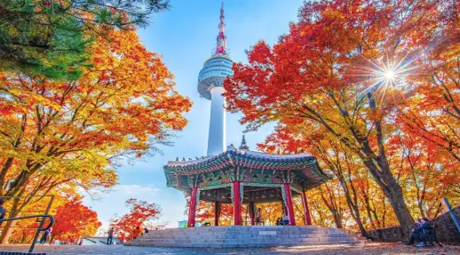 Seoul's Hidden Gems