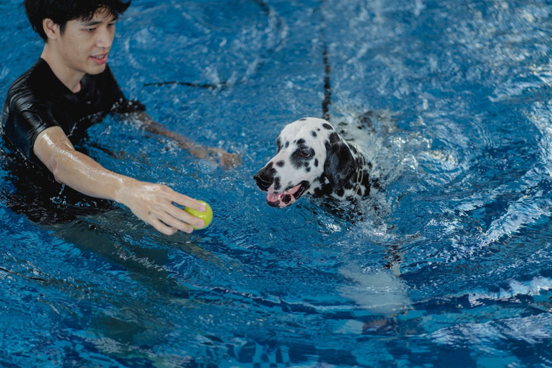 Water Work for Dogs - Where Treatment Ends and Exercise Begins